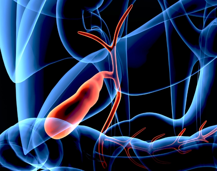 How Long Does Gallbladder Surgery Take? Procedure & Recovery