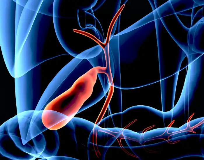 How Long Does Gallbladder Surgery Take? Procedure & Recovery