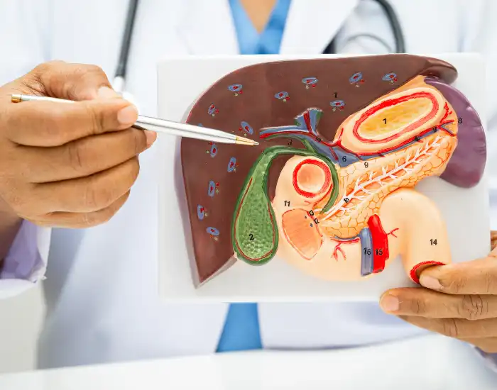 Symptoms of acute cholecystitis Acute Cholecystitis: Symptoms, Causes, and When to Seek Care