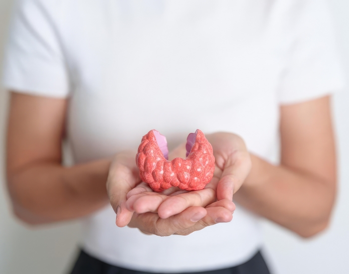 Appendicitis treatment Appendicitis symptoms
